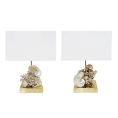 Pair of Coral Table Lamps Designed by L.A. Studio 1