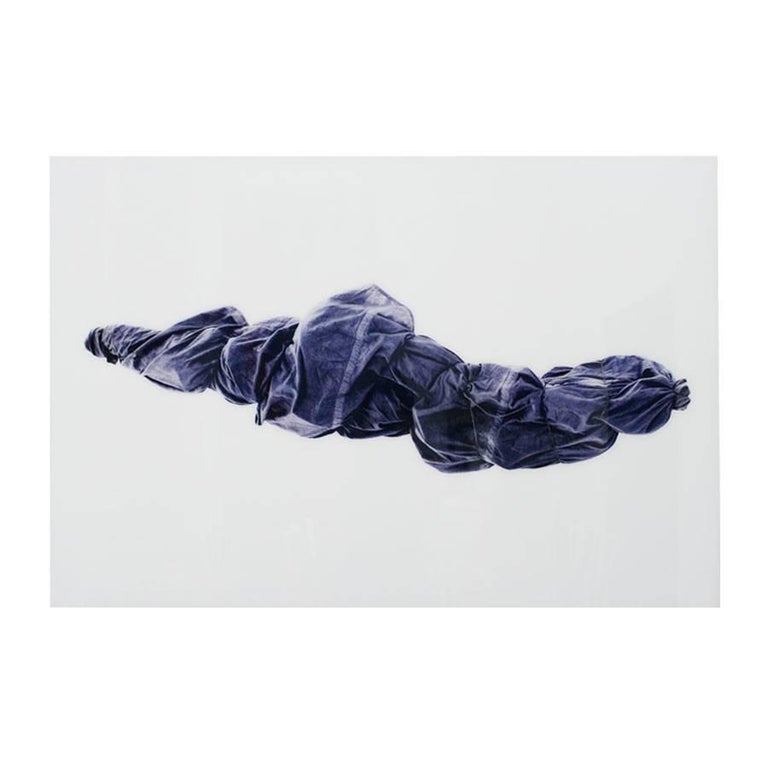 J. Fontcuberta "Jardin de Momias" For Sale