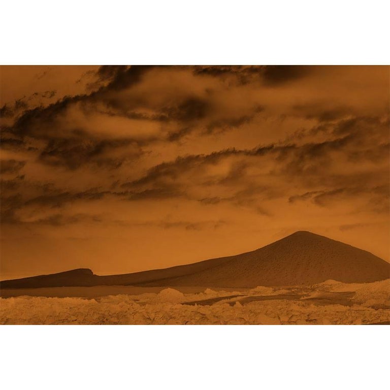 Mónica Sánchez-Robles "Naranja" For Sale