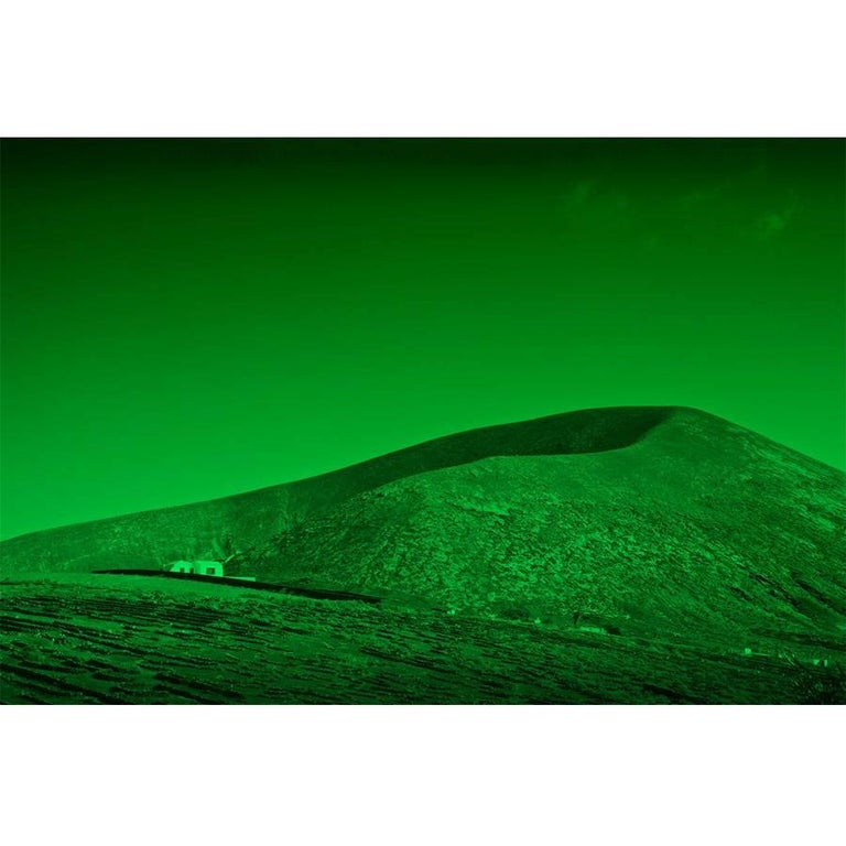 Mónica Sánchez-Robles "Verde" For Sale