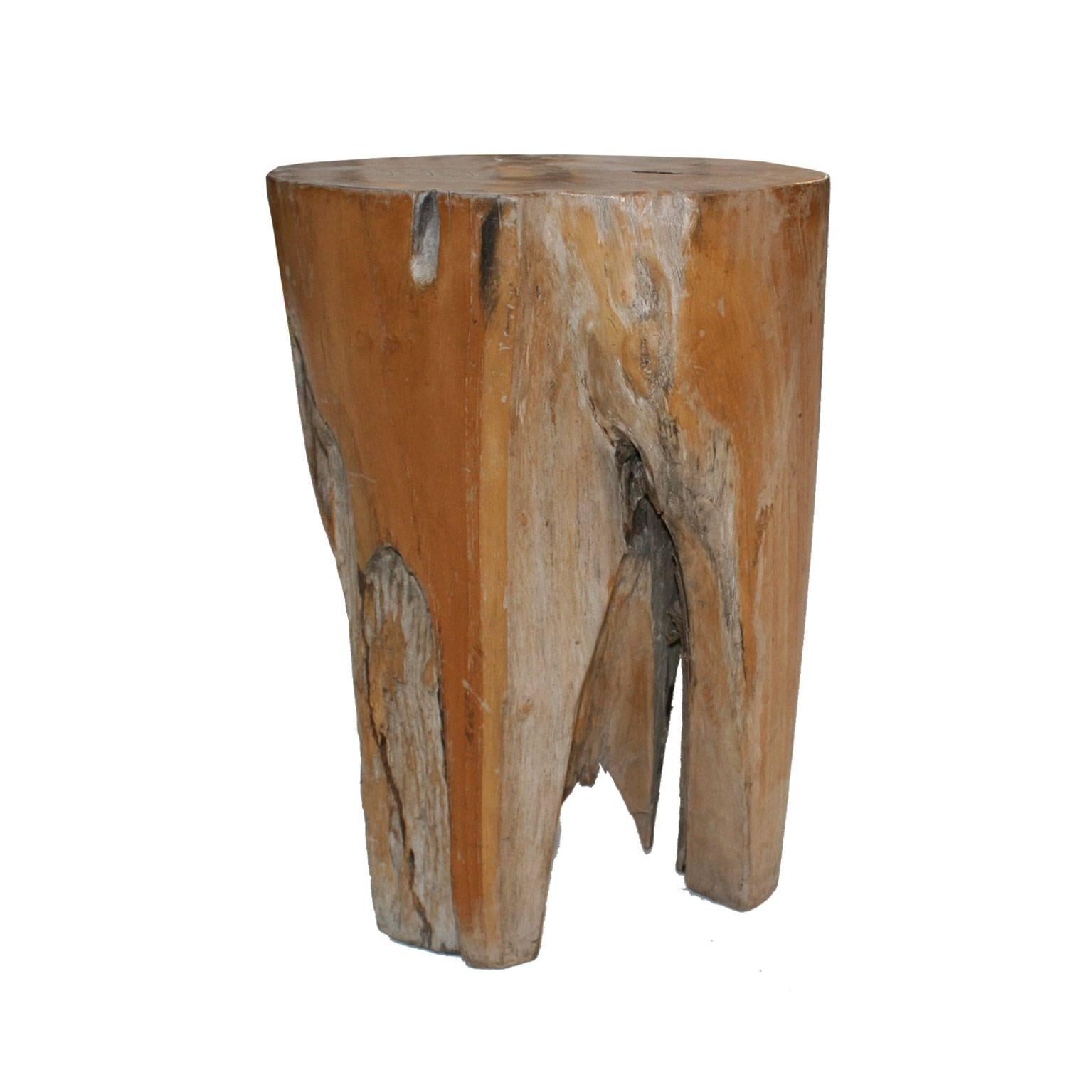 French Pair of Side Tables Made in Fossil Wood