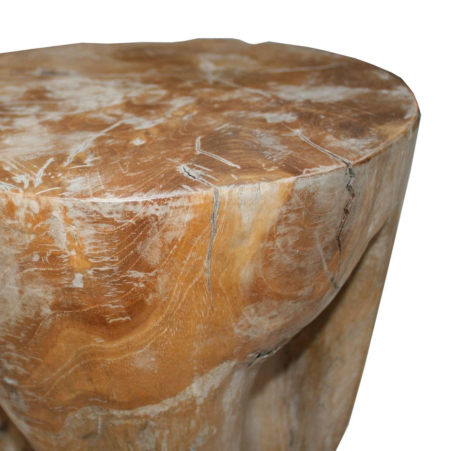 Petrified Wood Pair of Side Tables Made in Fossil Wood