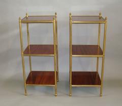 19th Century Pair of Mahogany and Gilt Brass Étagère