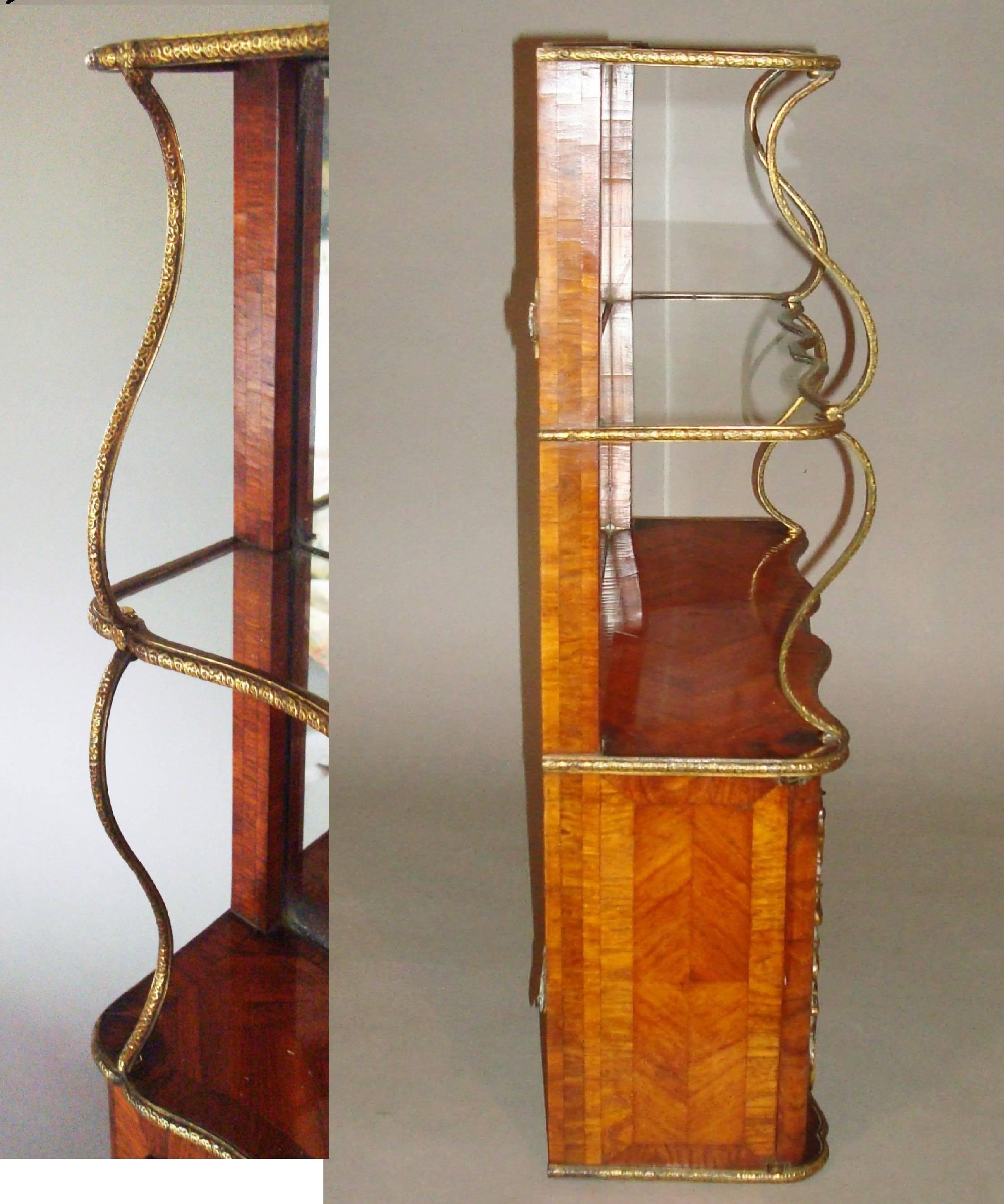 Exceptional 19th Century Pair of English Hanging Wall Cabinets by Town & Emanuel For Sale 2