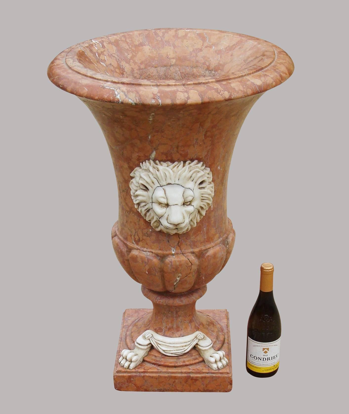 Good 19th century large Italian marble urn, the campana shaped urn in Rosso di Verona marble, the top with roll over moulded edge, above the flared body mounted with a large well carved lion mask in Carrara marble; above a gadrooned moulding