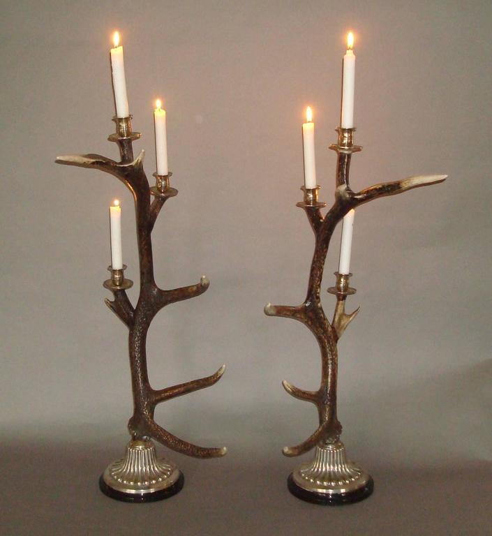 Unusual Large Pair of Antler and Silvered Metal Candlesticks at 1stDibs