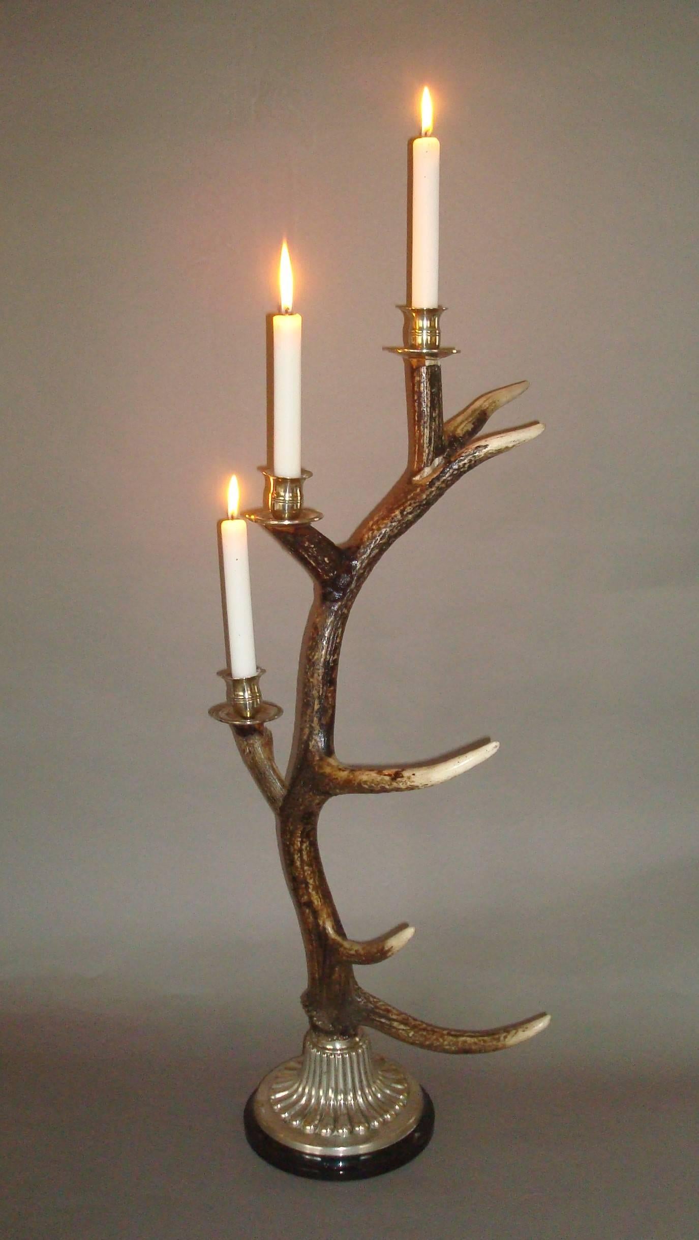 Unusual Large Pair of Antler and Silvered Metal Candlesticks In Excellent Condition In Moreton-in-Marsh, Gloucestershire