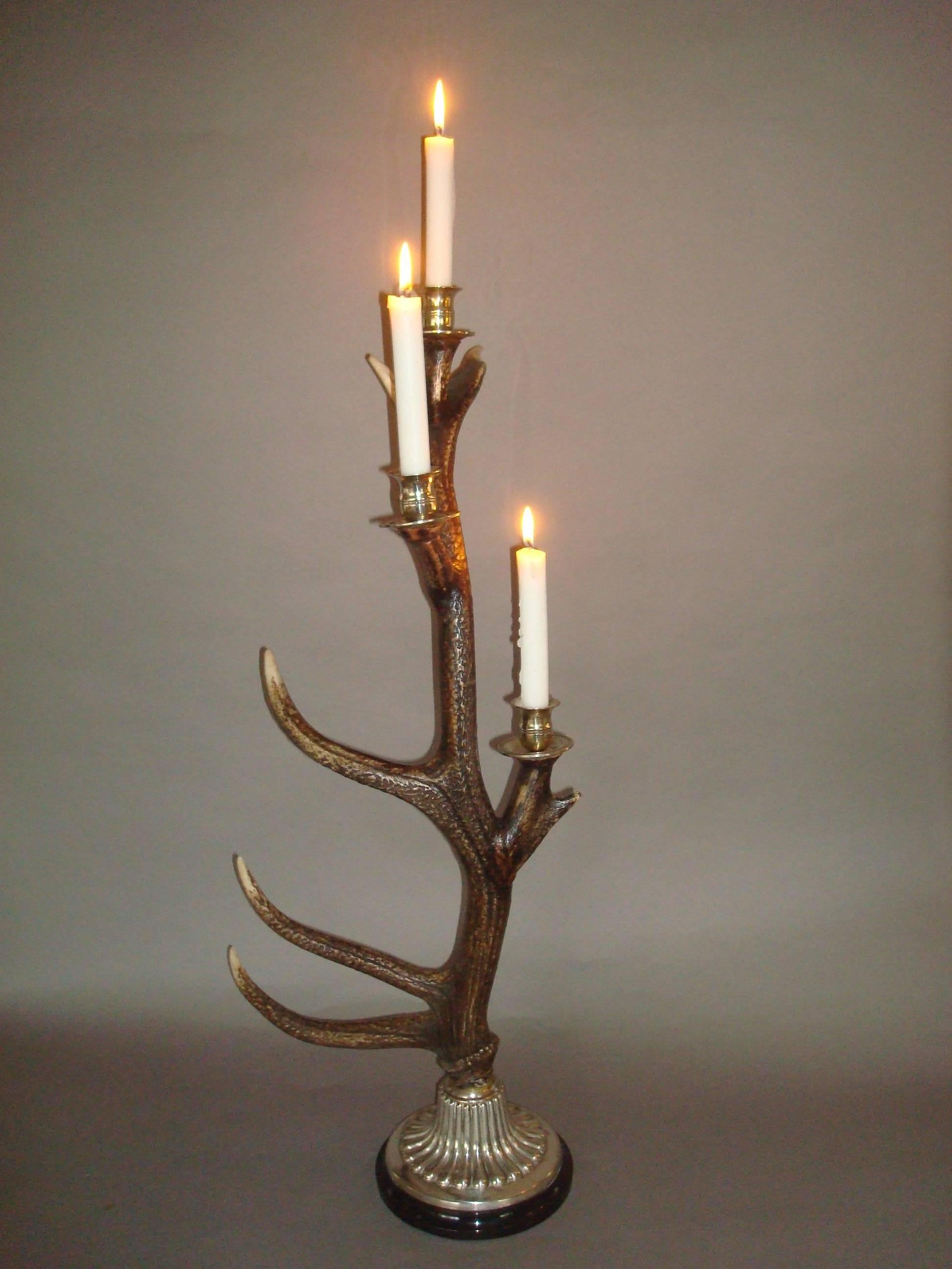 Unusual Large Pair of Antler and Silvered Metal Candlesticks 4