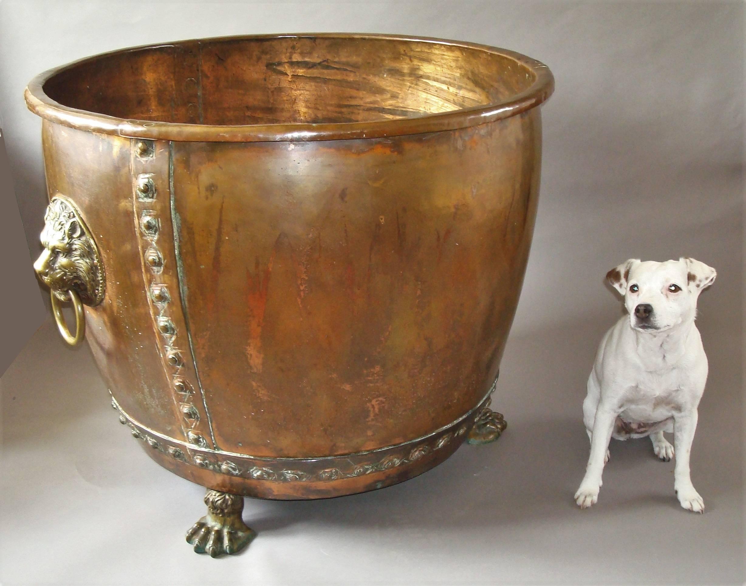 Massive 19th century English copper log basket / jardiniere of monumental proportions; the circular top with a rolled over edge, over the flared shaped body with bold riveted bands. The large brass lion mask handles with Fine detailing. Raised on