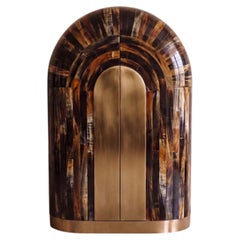 Arcana Resin and Brass Wardrobe / Collectors Cabinet by House of Jaipur