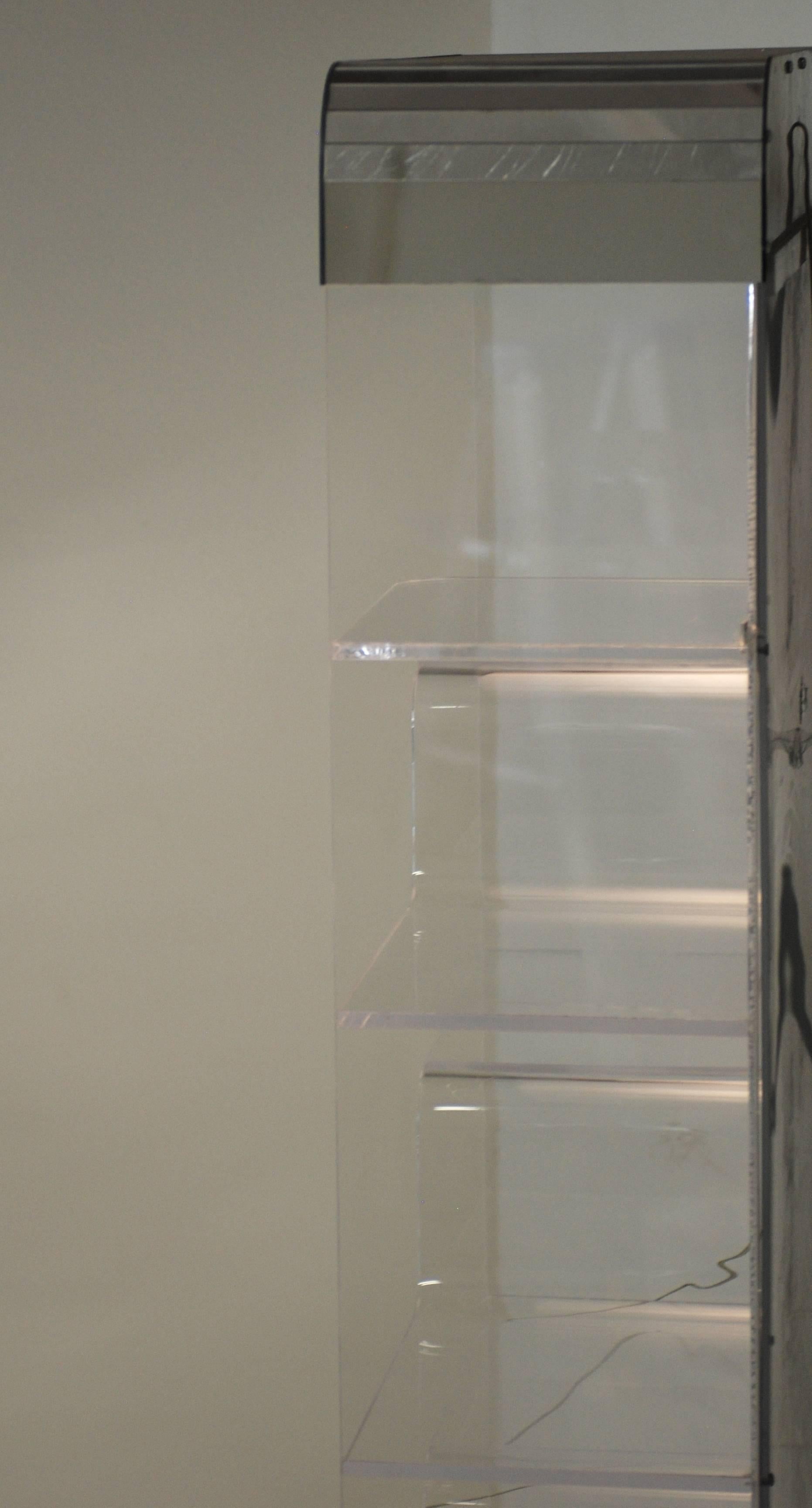  Tall Lucite and Mirror Lighted Shelving Vitrine 2