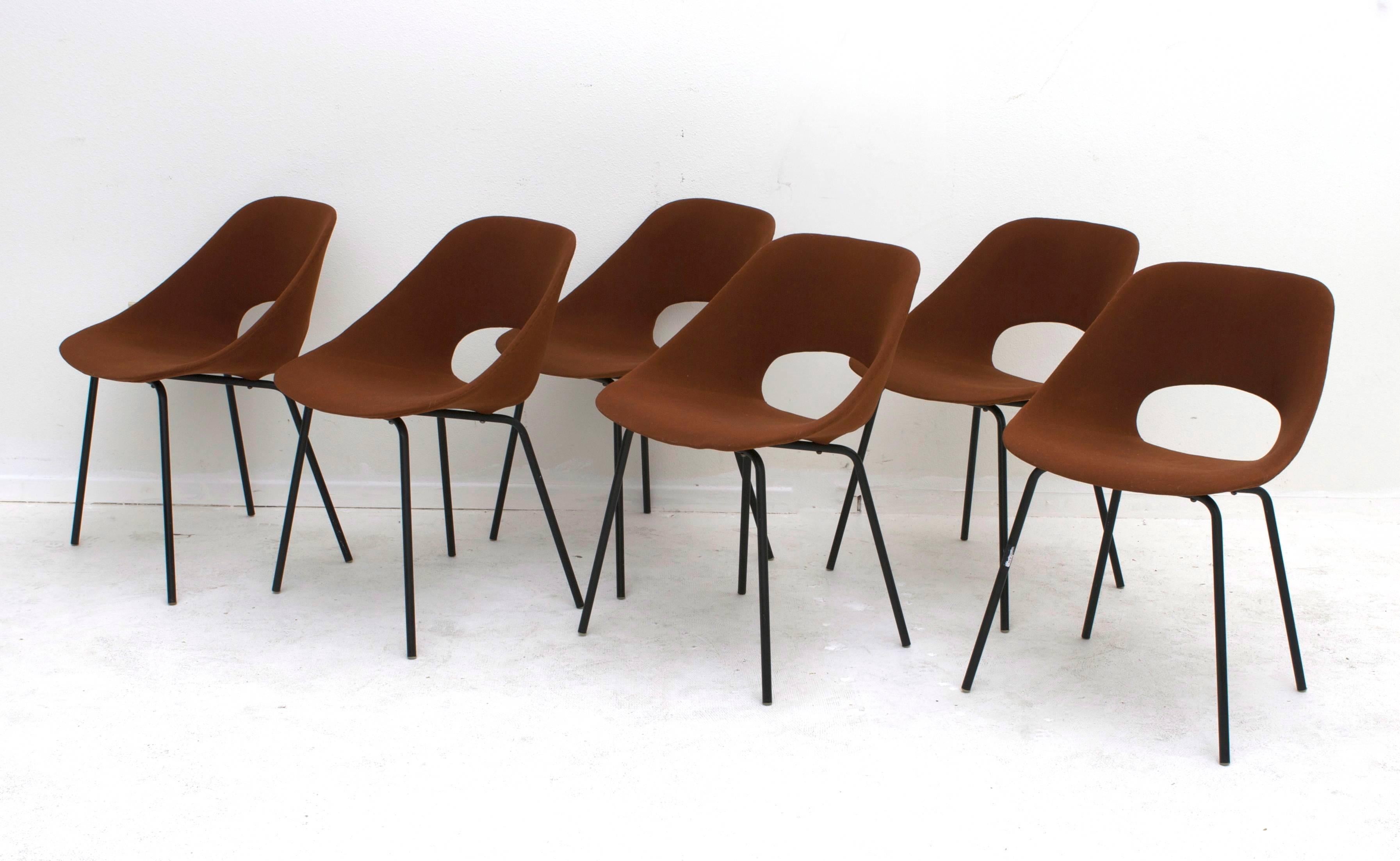 Pierre Guariche (1926-1995) and Steiner six dining chairs, 