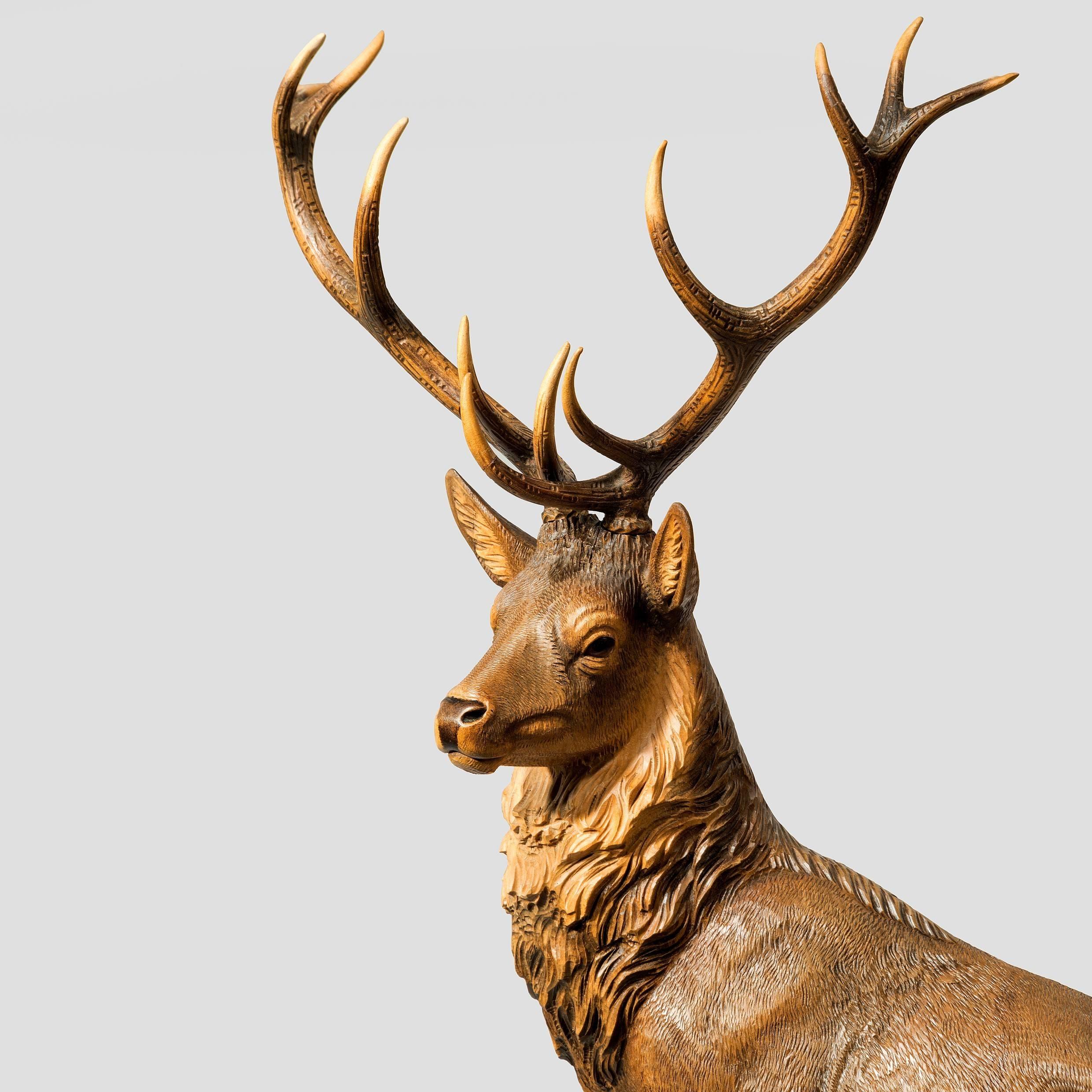 Standing proudly with his head turned to the left, the pelt naturalistically carved and stained round the neck and down the spine, the antlers stained lighter at the tips. Signed F R Michel.