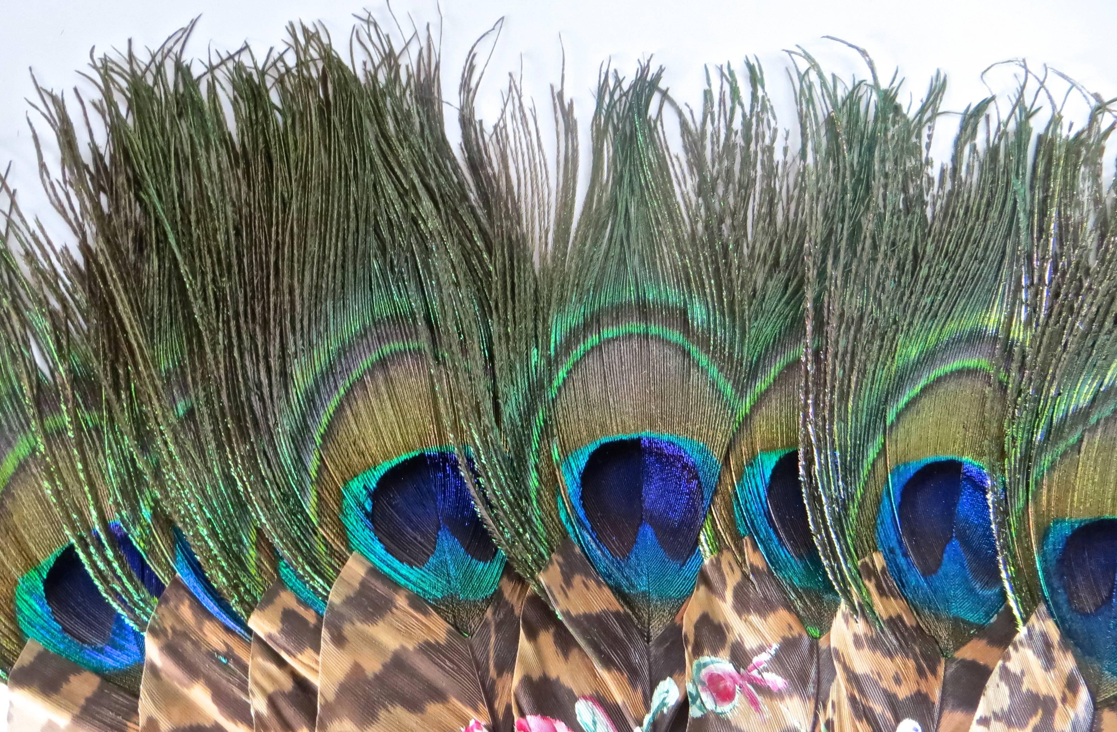 Vintage fan; the upper portion peacock 
