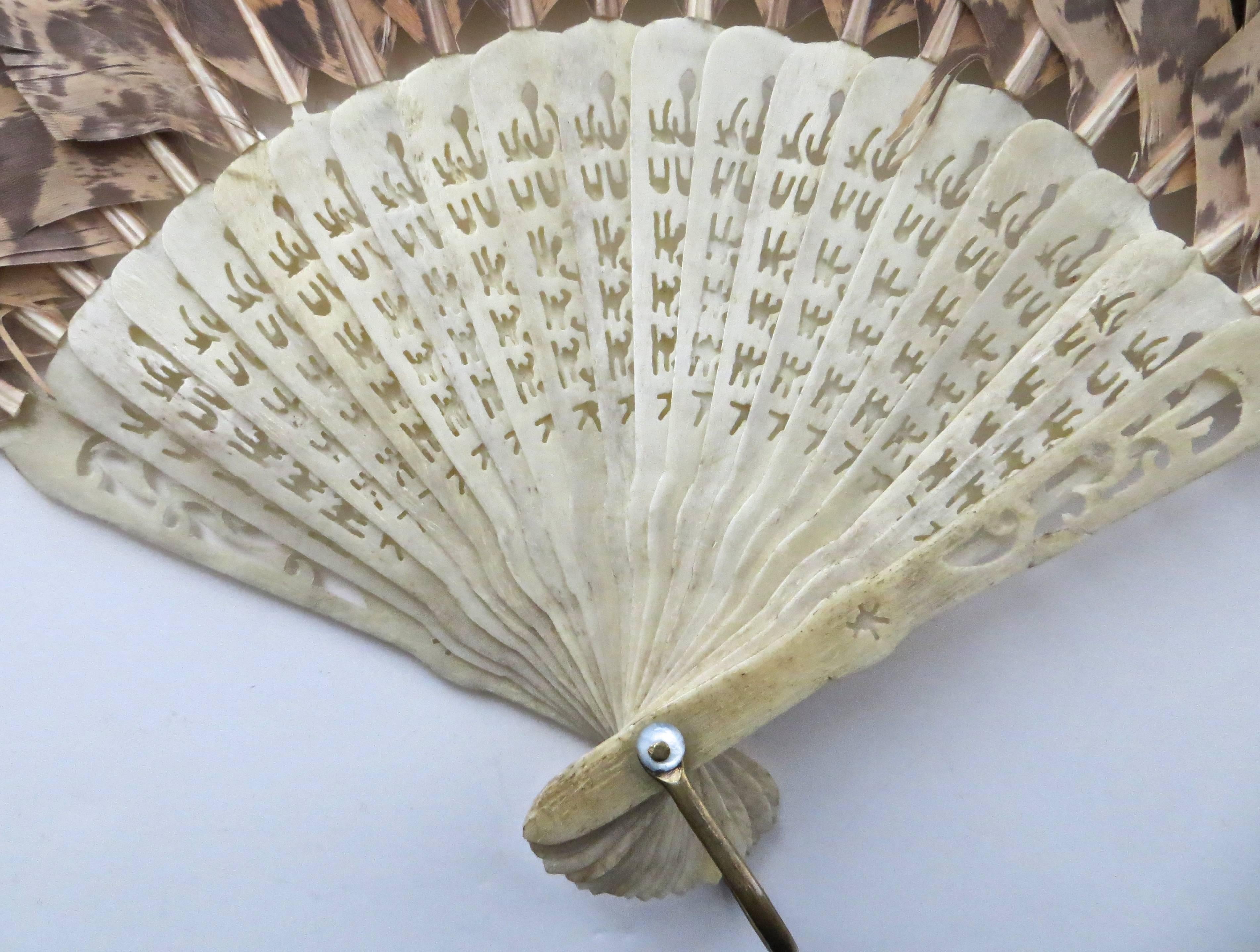 Victorian Hand Held Fan of Peacock Feathers, Japan, circa 1880s