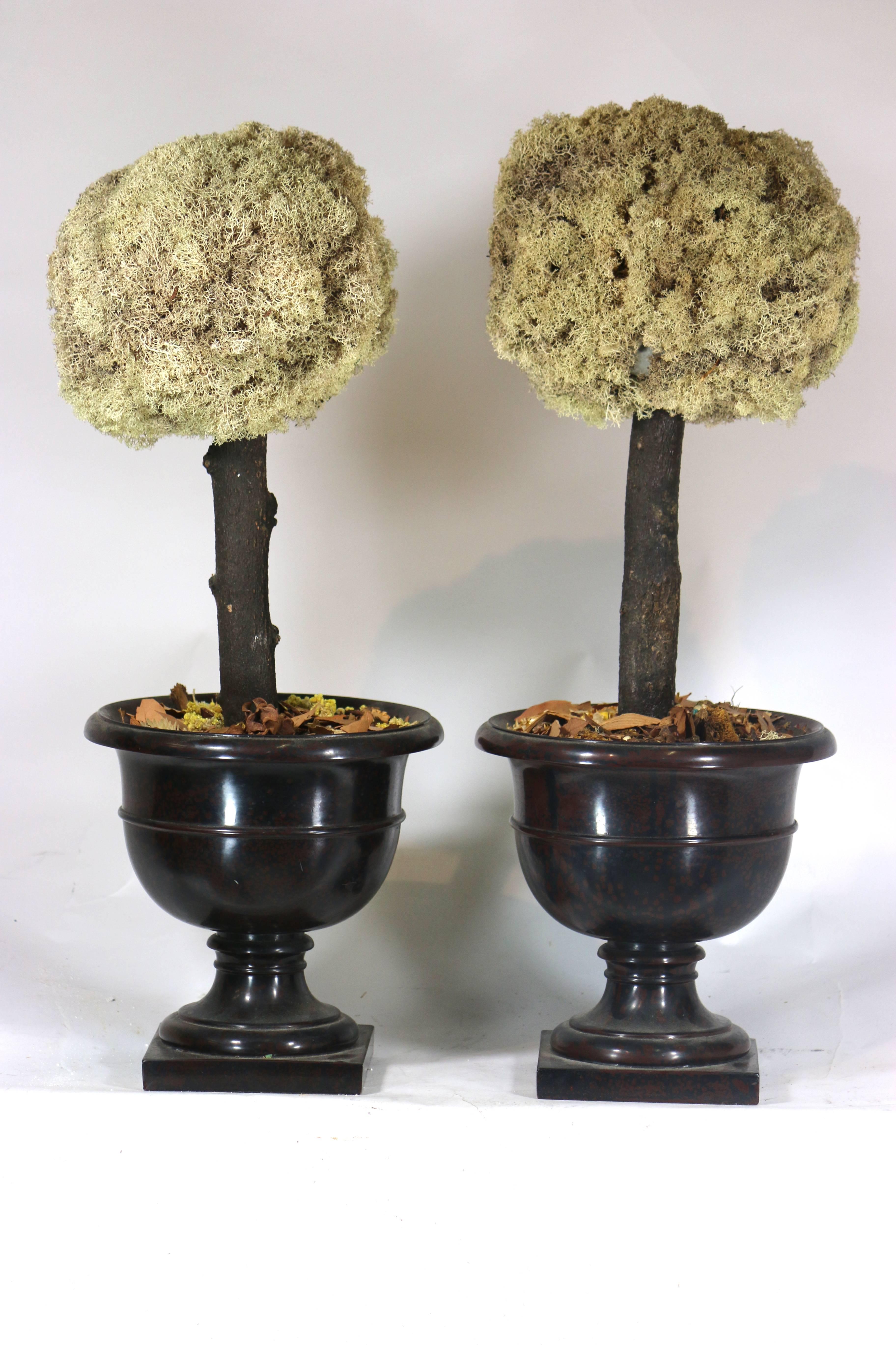 Hollywood Regency Pair of Preserved Moss Topiary Trees in Stylish Urns For Sale