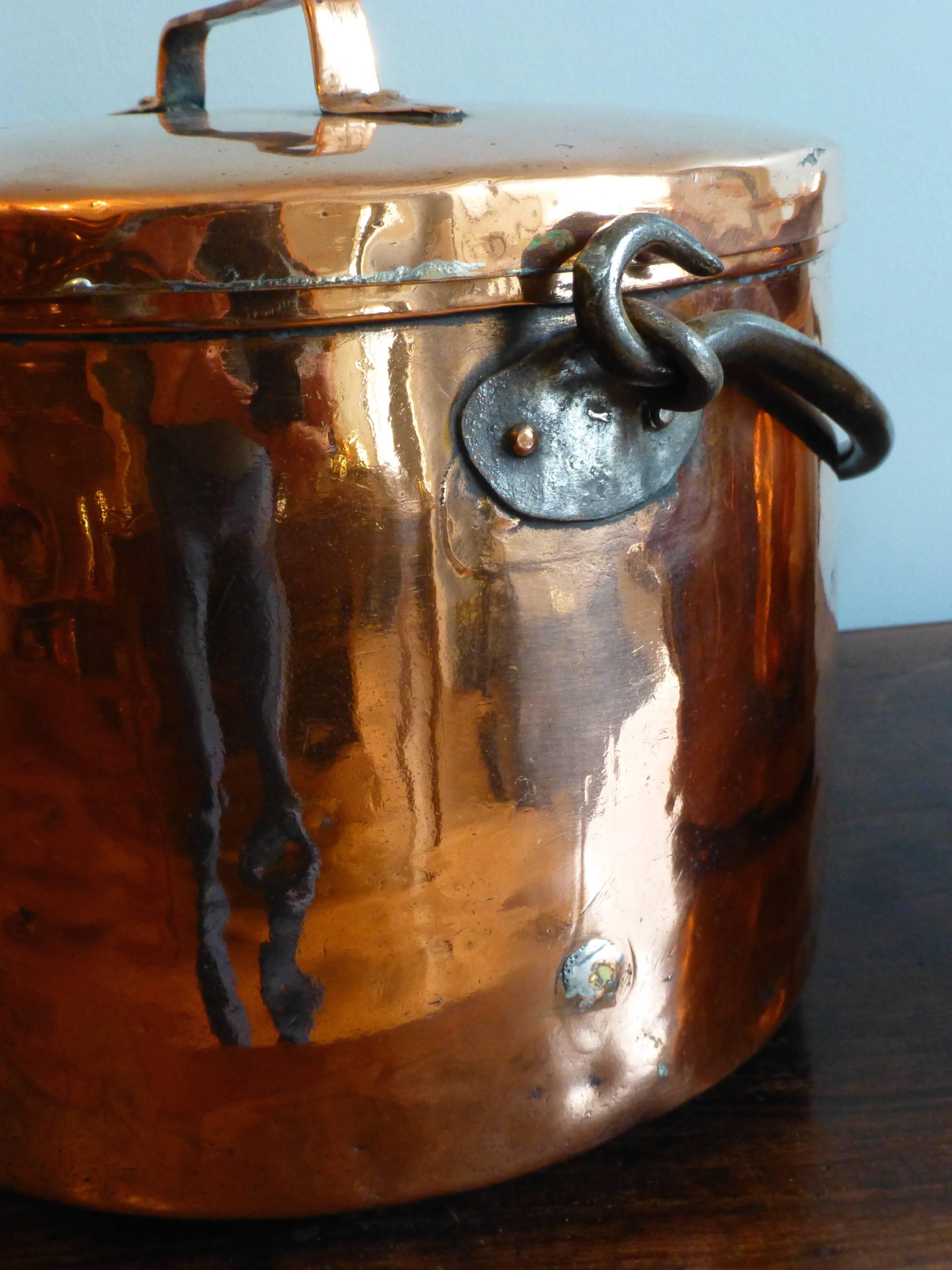 19th Century Magnificent Set of Re-Tinned Copper Pans, Pots