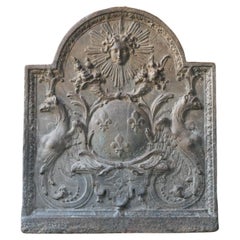 18th-19th Century French Louis XIV 'Arms of France' Fireback