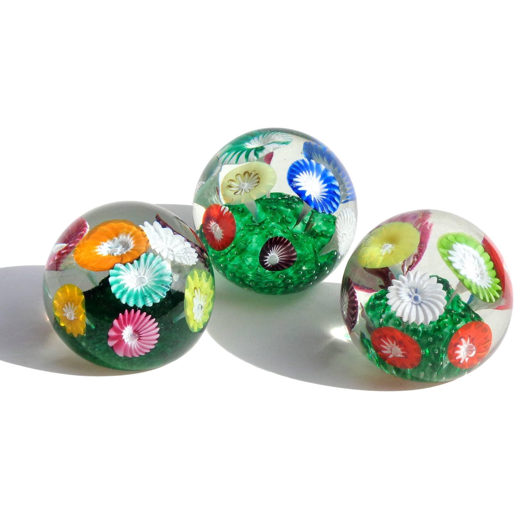 Beautiful set of Murano hand blown multicolor flower garden Italian art glass paperweights. Documented to the Fratelli Toso company. One still retains an original Murano label underneath. Largest measures 3 1/4" wide.
