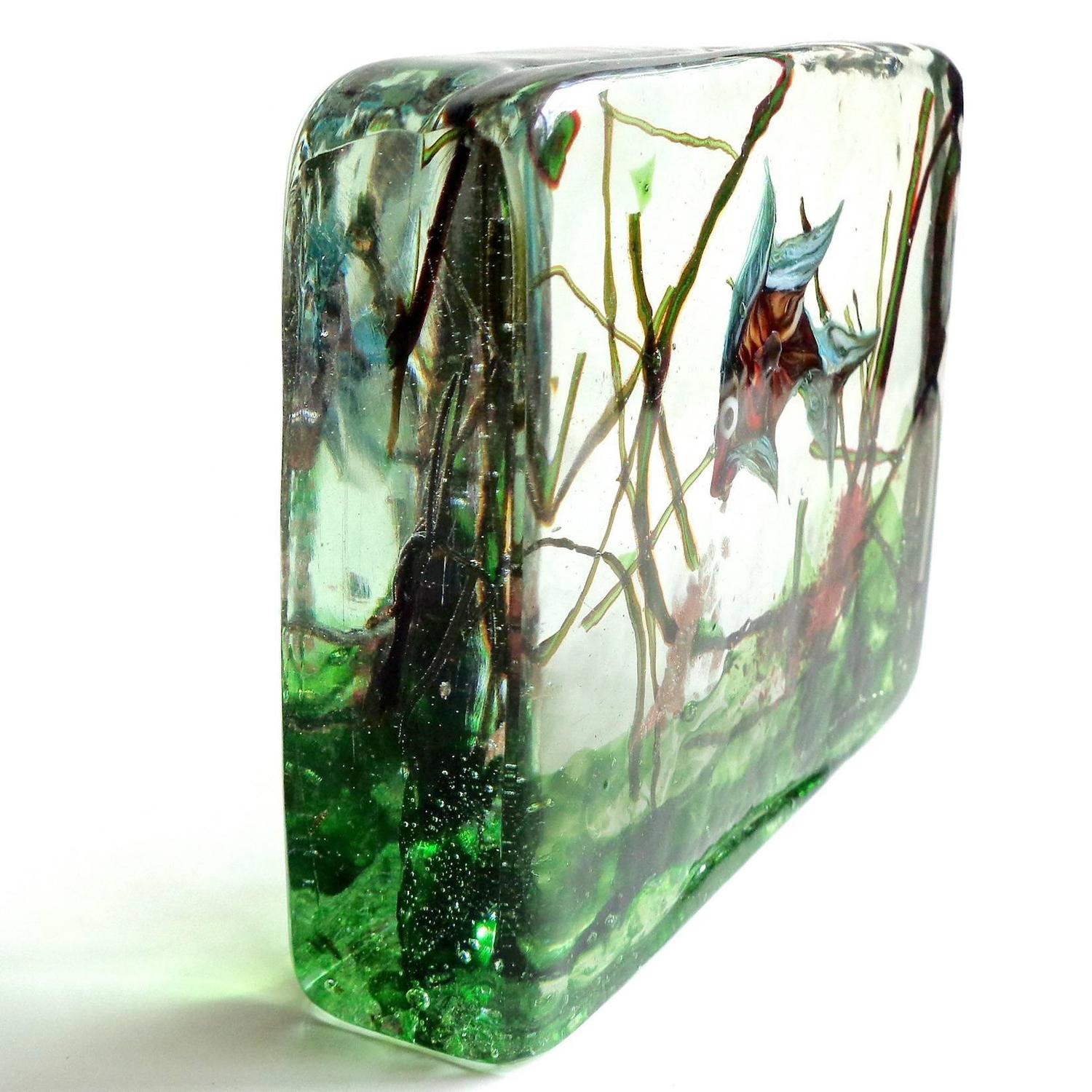 Murano Colorful Fish Italian Art Glass Aquarium Paperweight Sculpture