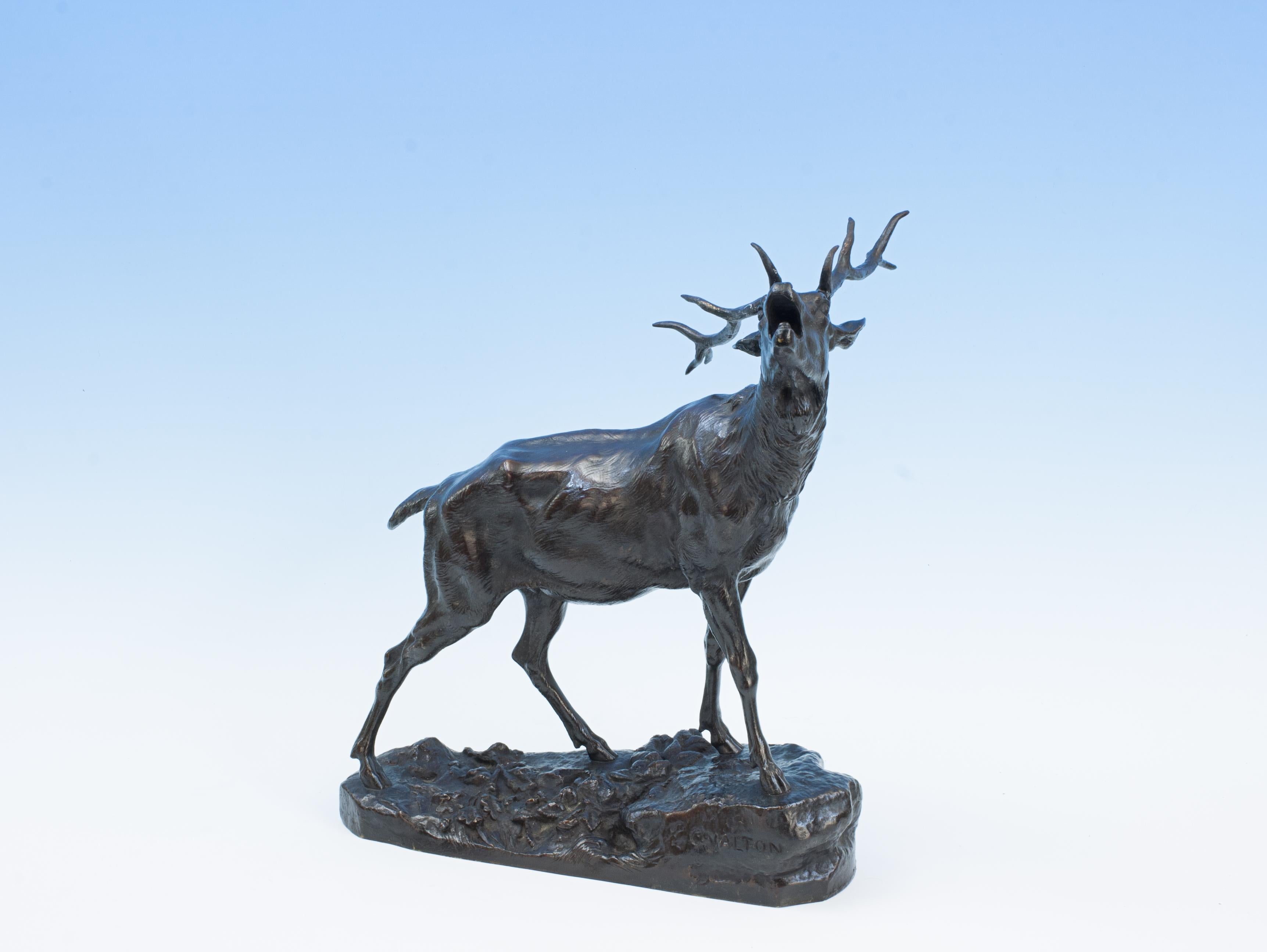 Bronzefigur eines röhrenden Hirsches, C. Valton (Jagdkunst) im Angebot