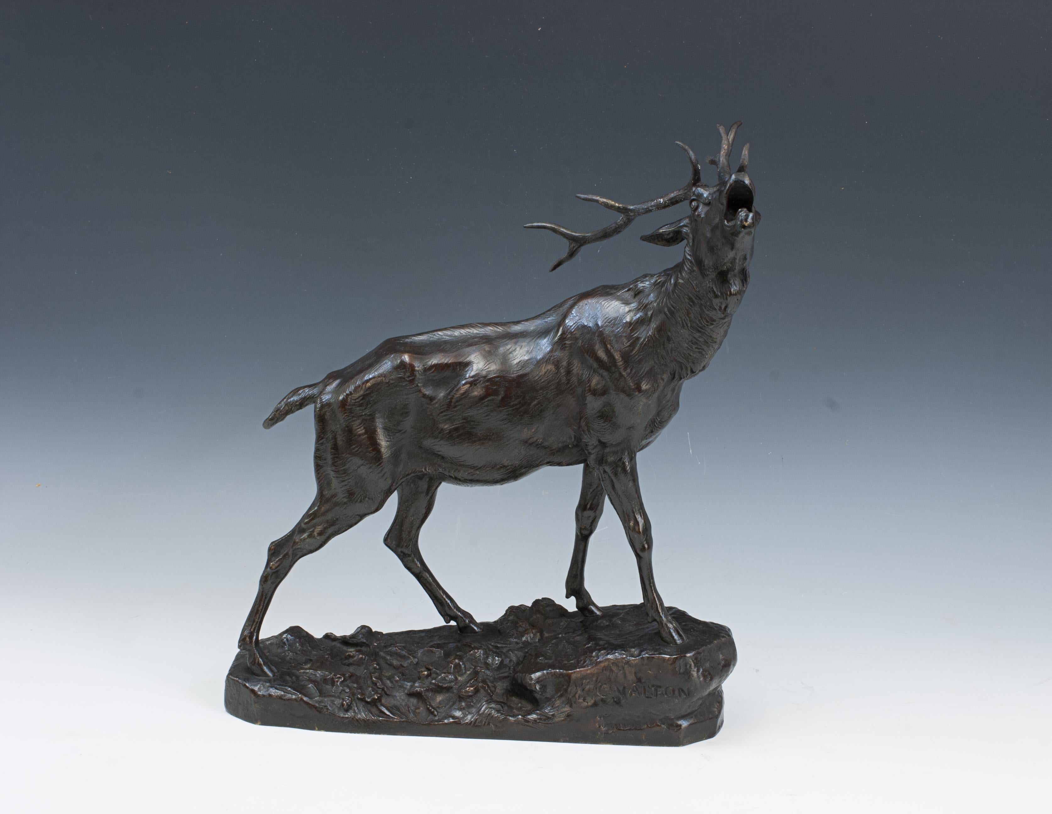 Braying Bronze Stag von C. Valton.
Ein 10-zackiger Hirsch aus Bronze, modelliert auf einem naturalistischen Sockel, brüllend, schöne braune Patina, Sockel beschriftet 'C.VALTON' aus der zweiten Hälfte des 19. oder frühen 20.

Charles Valton (26.