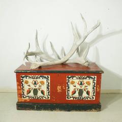 Vintage Taxidermy, Large Antlers