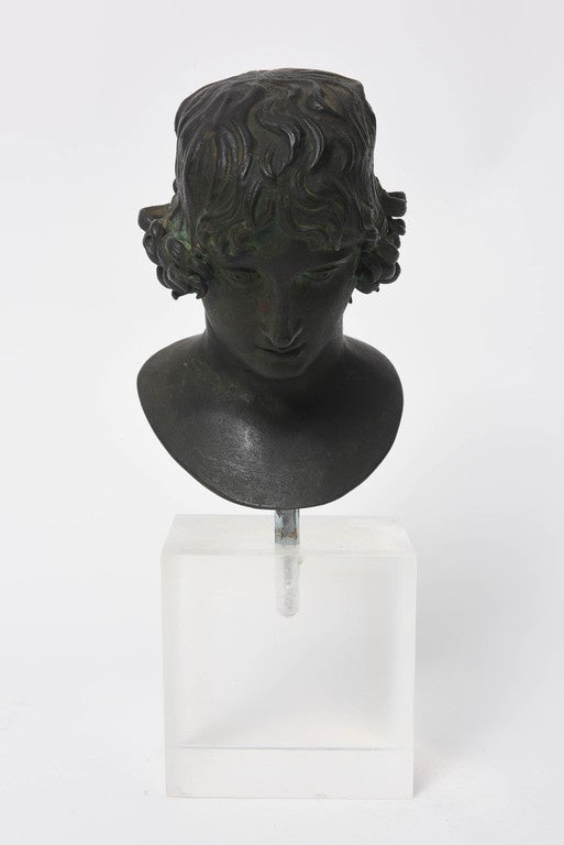 Highly attractive bust of Antinous, the companion of Emperor Hadrian.  Likely cast in Naples, Italy in the late 19th century.  It is related to the 2nd century Antinous Mondragone, a large marble bust of Antinous now in the Louvre Museum.

The