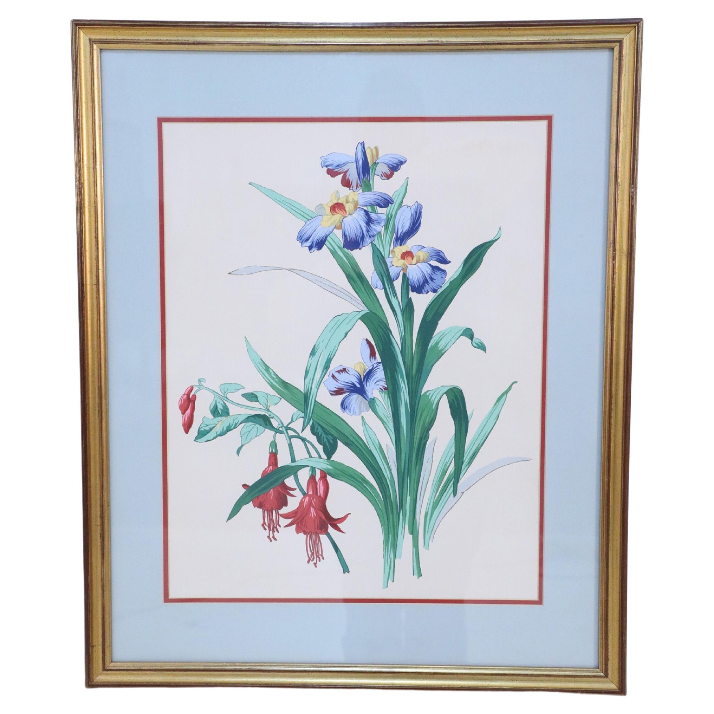 Framed Still Life Illustration of Blue and Yellow Irises