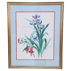 Gerahmte Stillleben- Illustration blauer und gelber Irisen