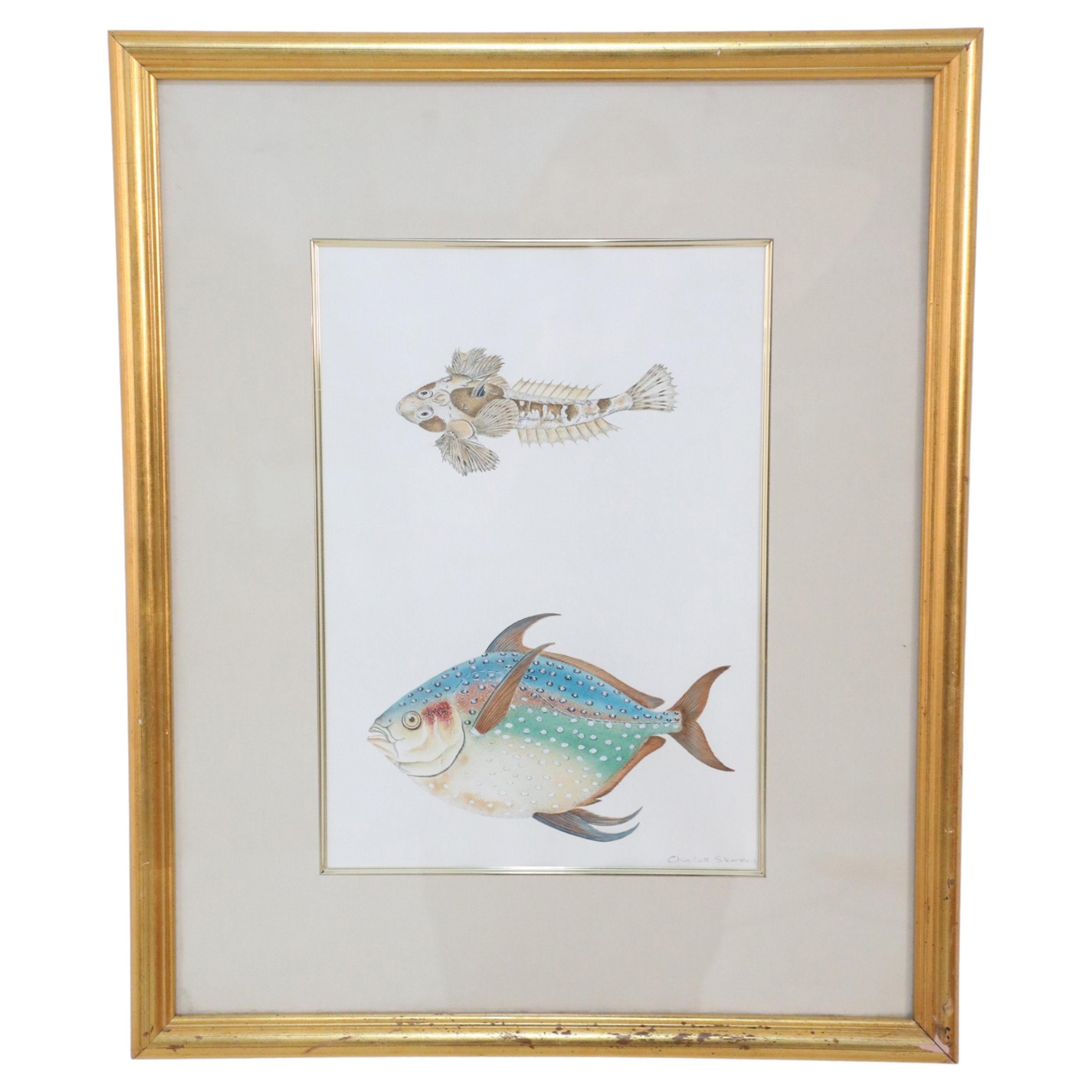 Framed Color Lithograph of Brown and Multi-Colored Tropical Fish For Sale