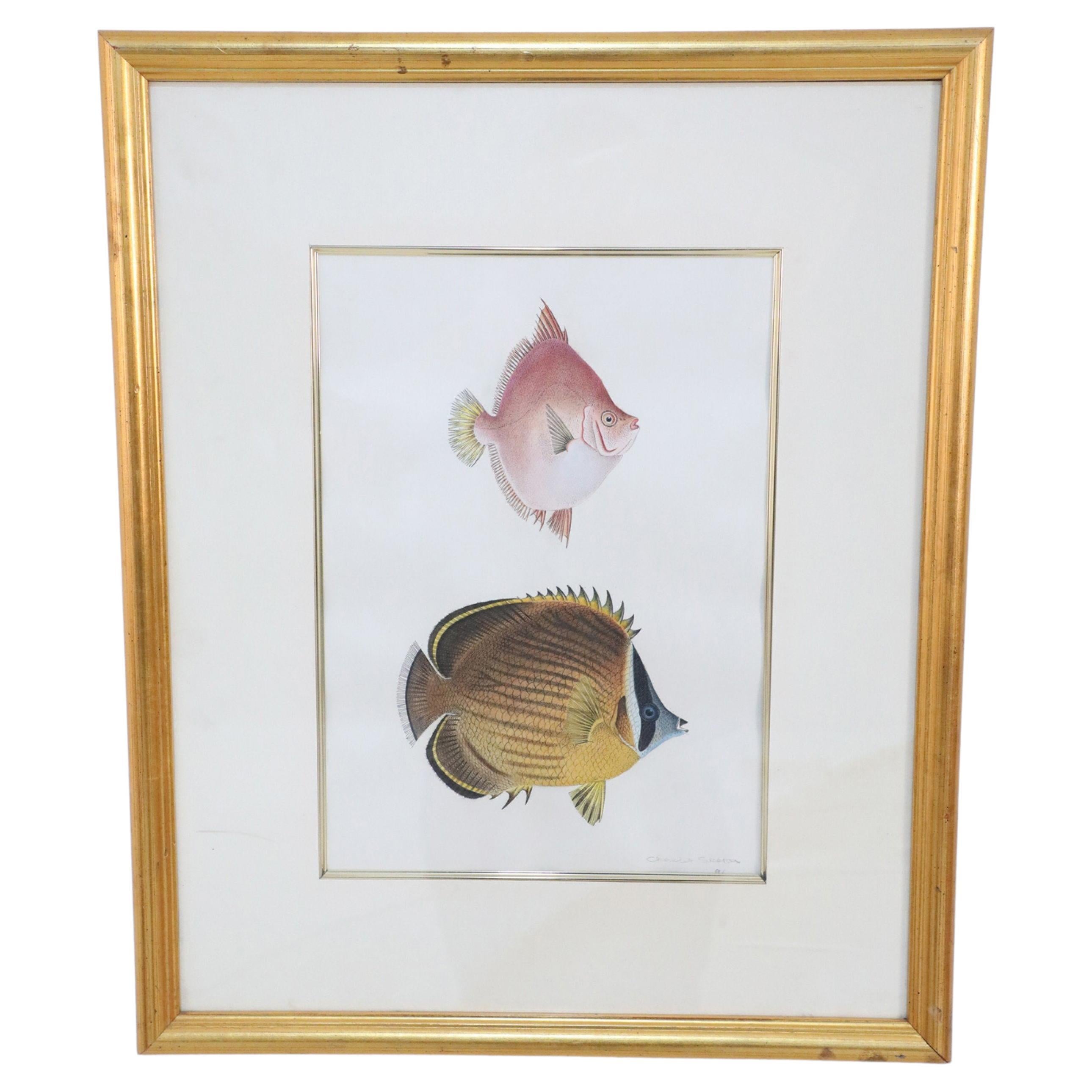 Framed Color Lithograph of Brown and Pink Tropical Fish For Sale