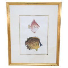 Lithographie couleur encadrée représentant des poissons tropicaux bruns et roses