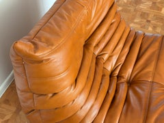 Fauteuil « Togo » en cuir et pin, créé par Michel Ducaroy pour Ligne Roset
