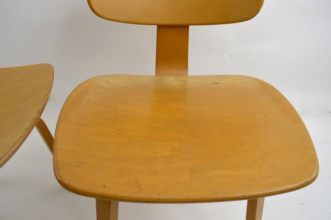 20th Century Pair of Thonet Mid Century Bentwood Chairs