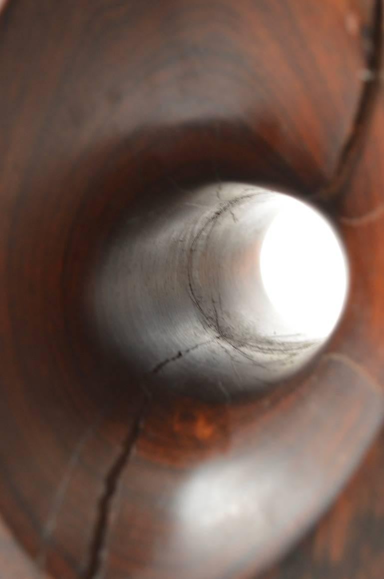 Mid-Century Carved Solid  Rosewood Organic Sculpture In Good Condition In New York, NY