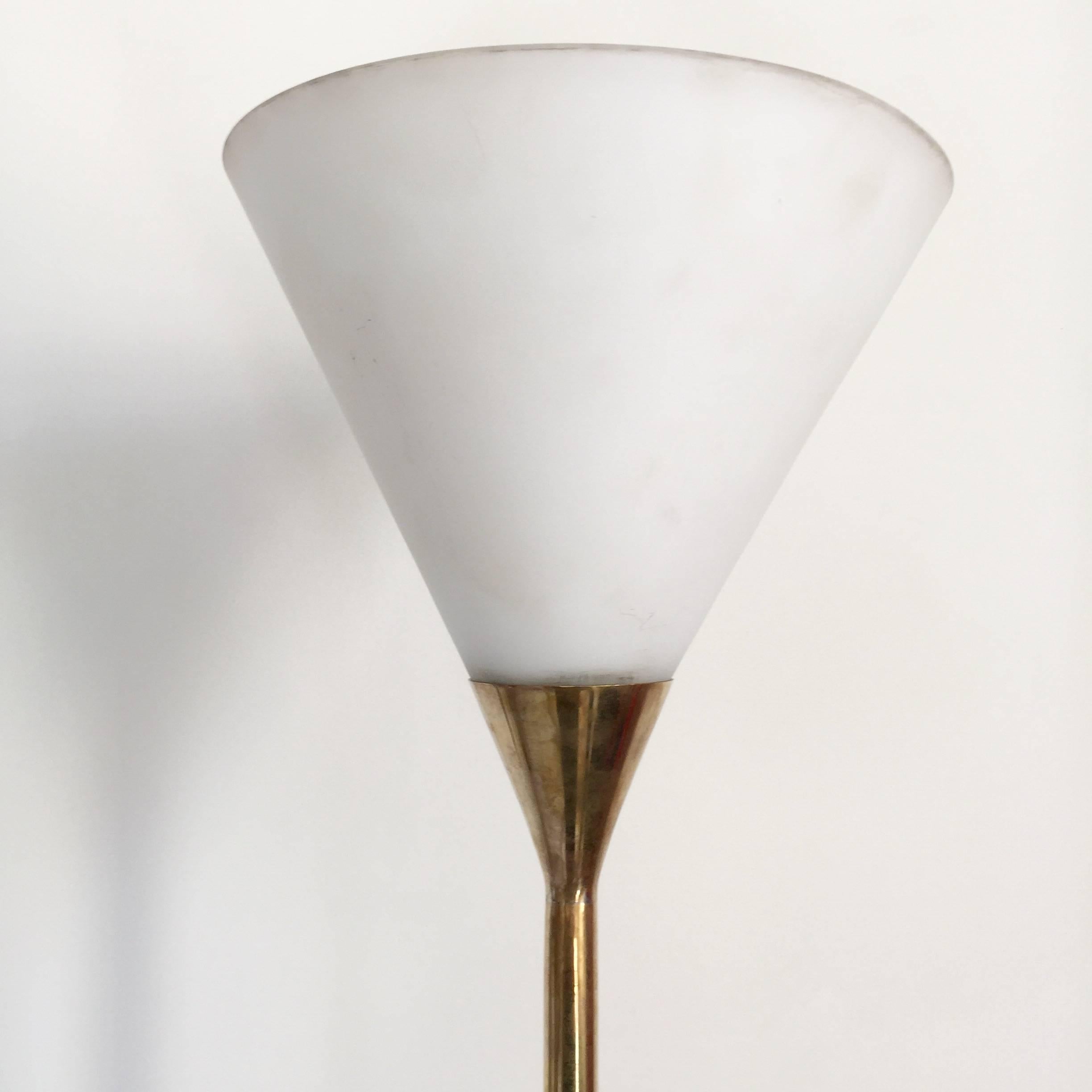 Modern Floor Lamp by Max Ingrand 