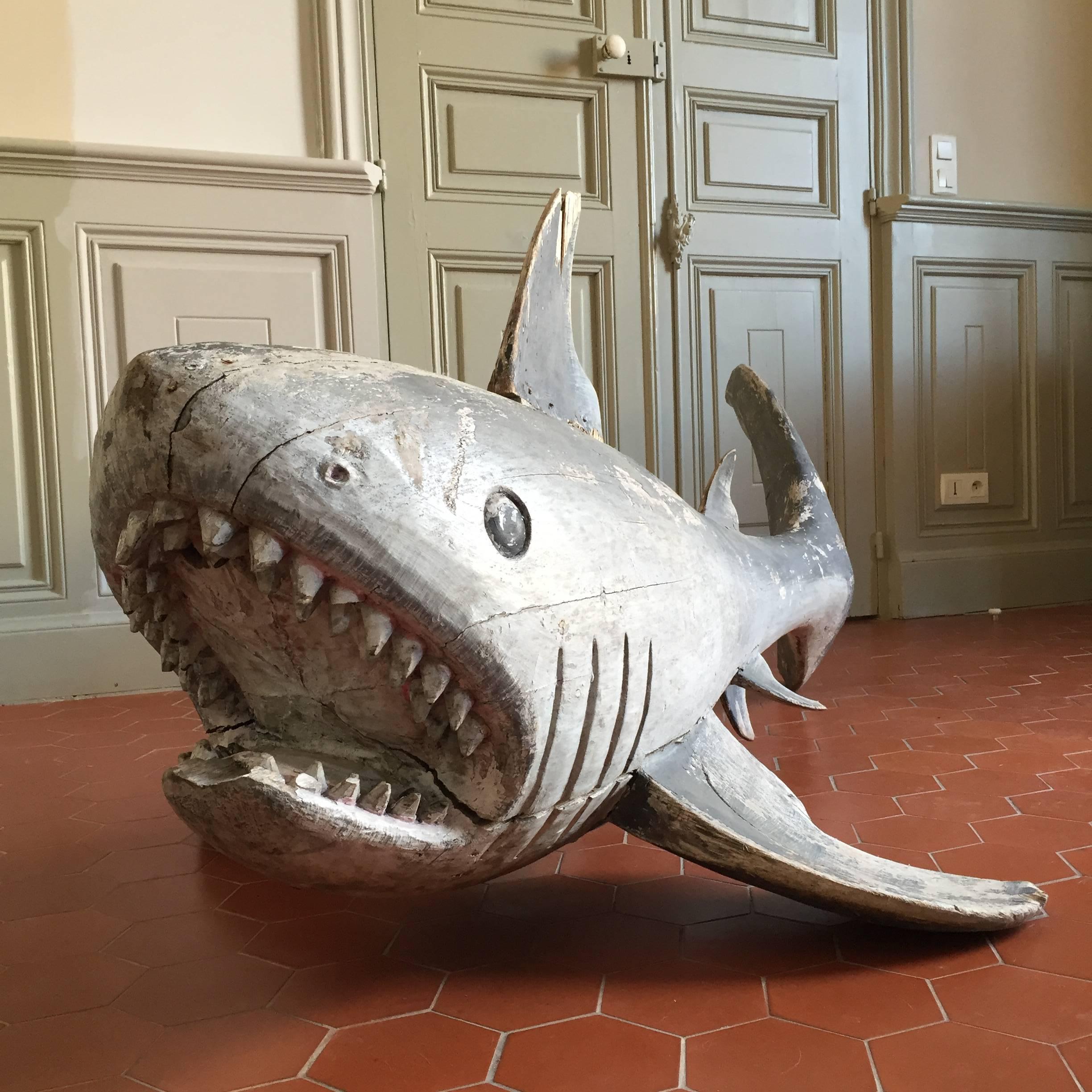 Unique Shark Sculpture, France, circa 1920 In Fair Condition For Sale In Fuveau, Provence