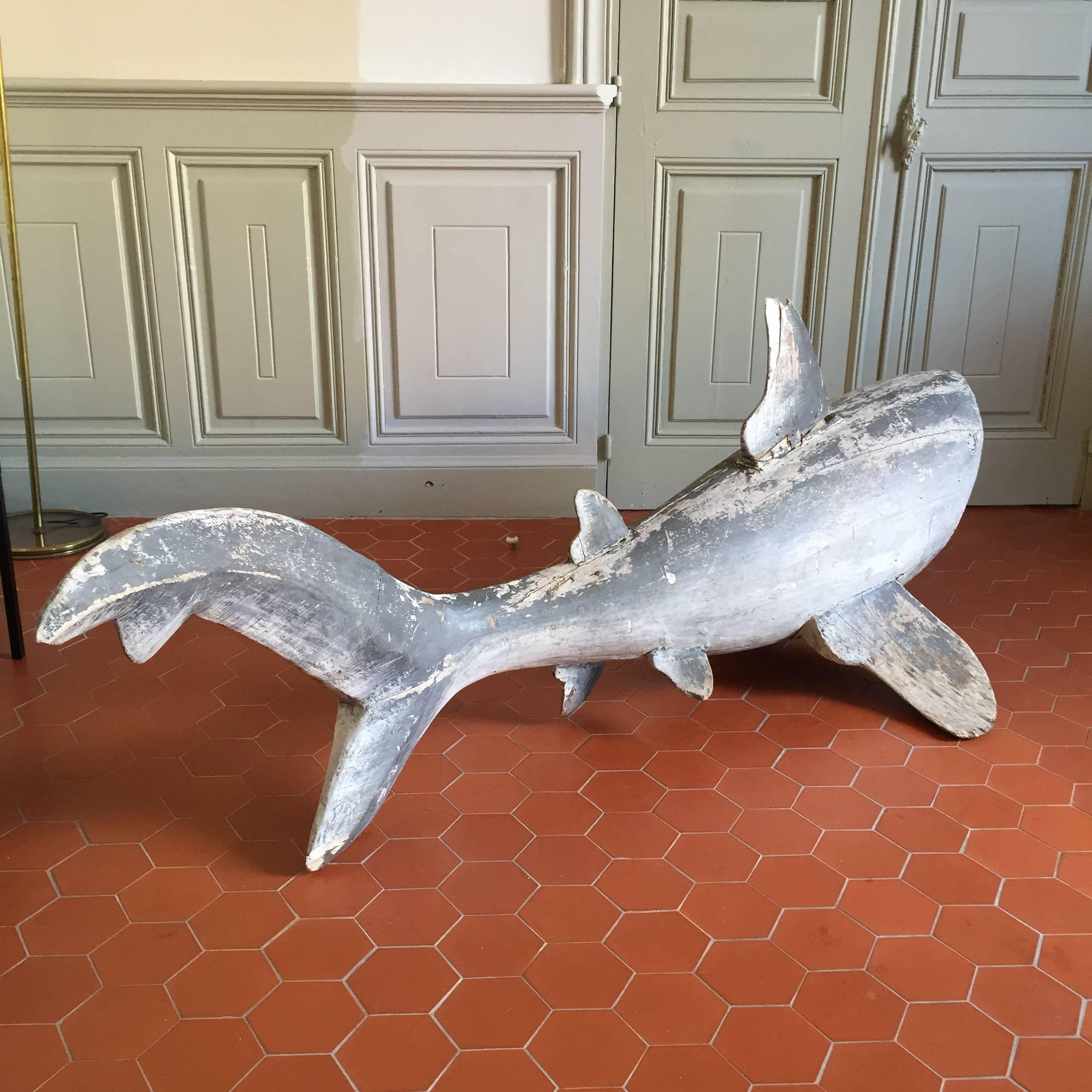 French Unique Shark Sculpture, France, circa 1920 For Sale