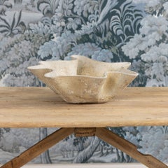 Midcentury Swiss Willy Guhl Clam Shell Planter