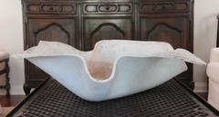 Massive Mid-Century Modern Handkerchief Planter by Willy Guhl