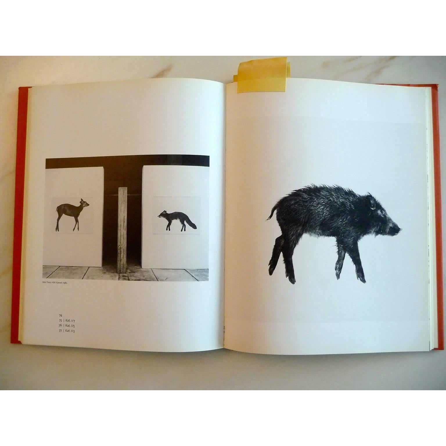 Modern Large photography on Baryta Paper by Gabriele Rothemann Wild Boar 1985-1992