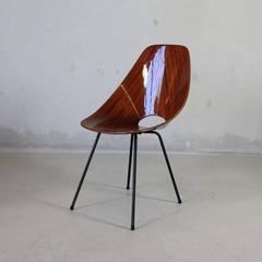 Pair of Rosewood Medea Chairs, Vittorio Nobili