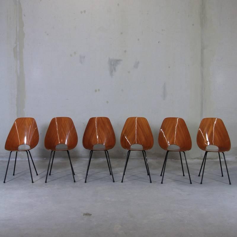 Italian Set of 6 Medea Chairs by Vittorio Nobili