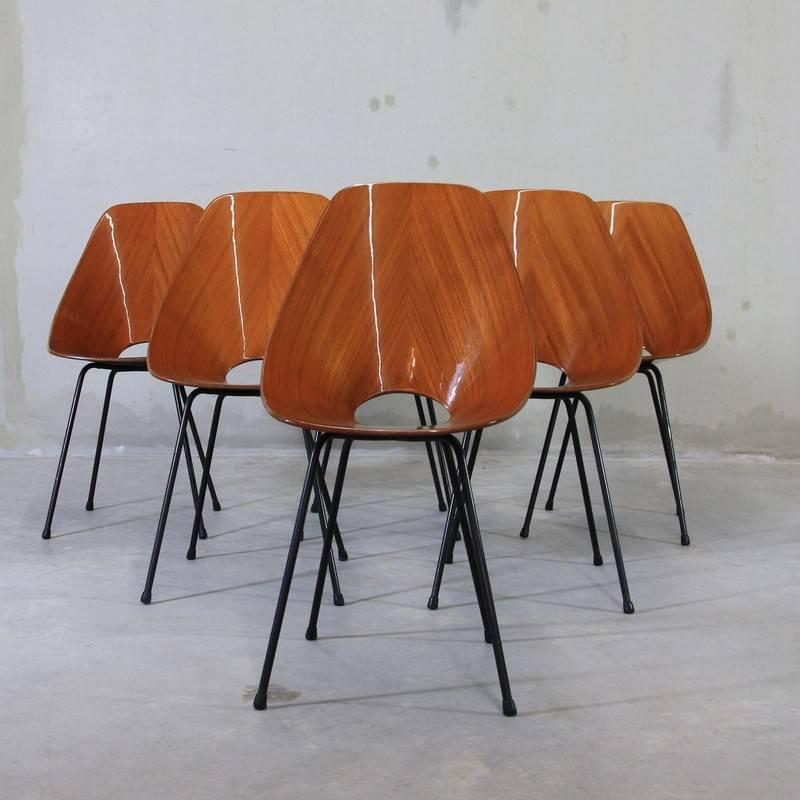 Set of 6 Medea Chairs by Vittorio Nobili 2