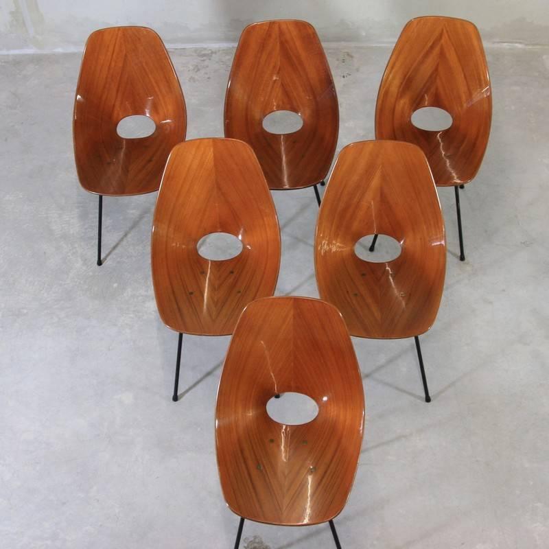 Set of 6 Medea Chairs by Vittorio Nobili 3