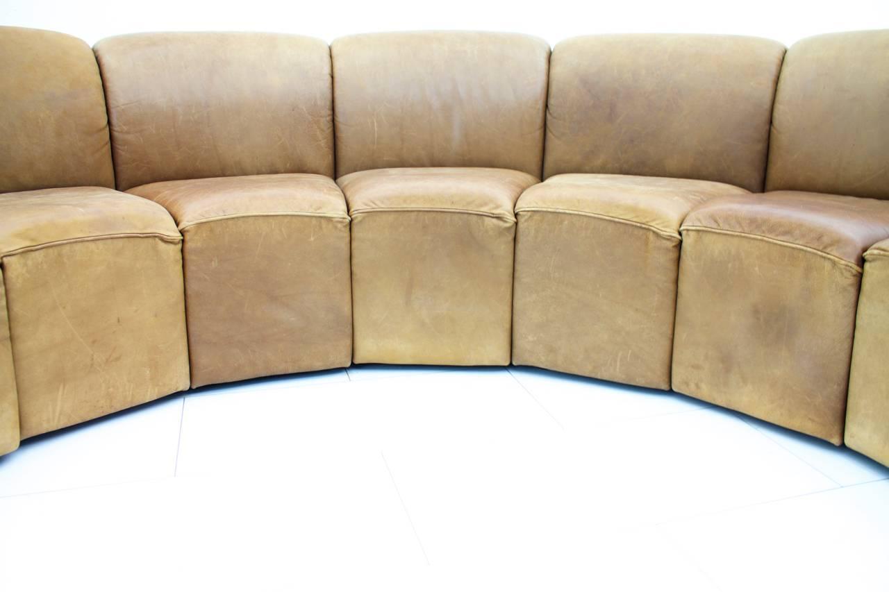 Leather Lounge Sofa by Walter Knoll, 1960s 3