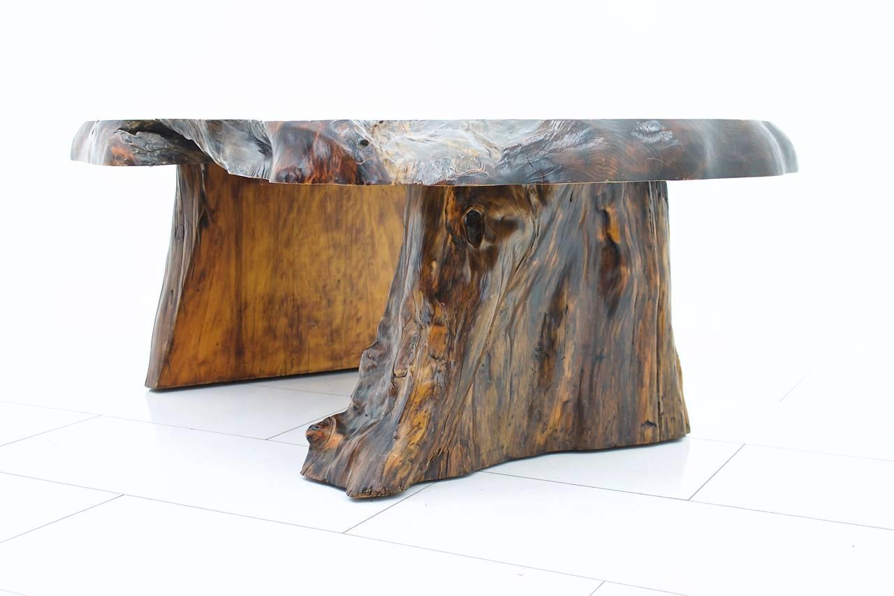 Central American Solid Root Wood Coffee Table, 1960s