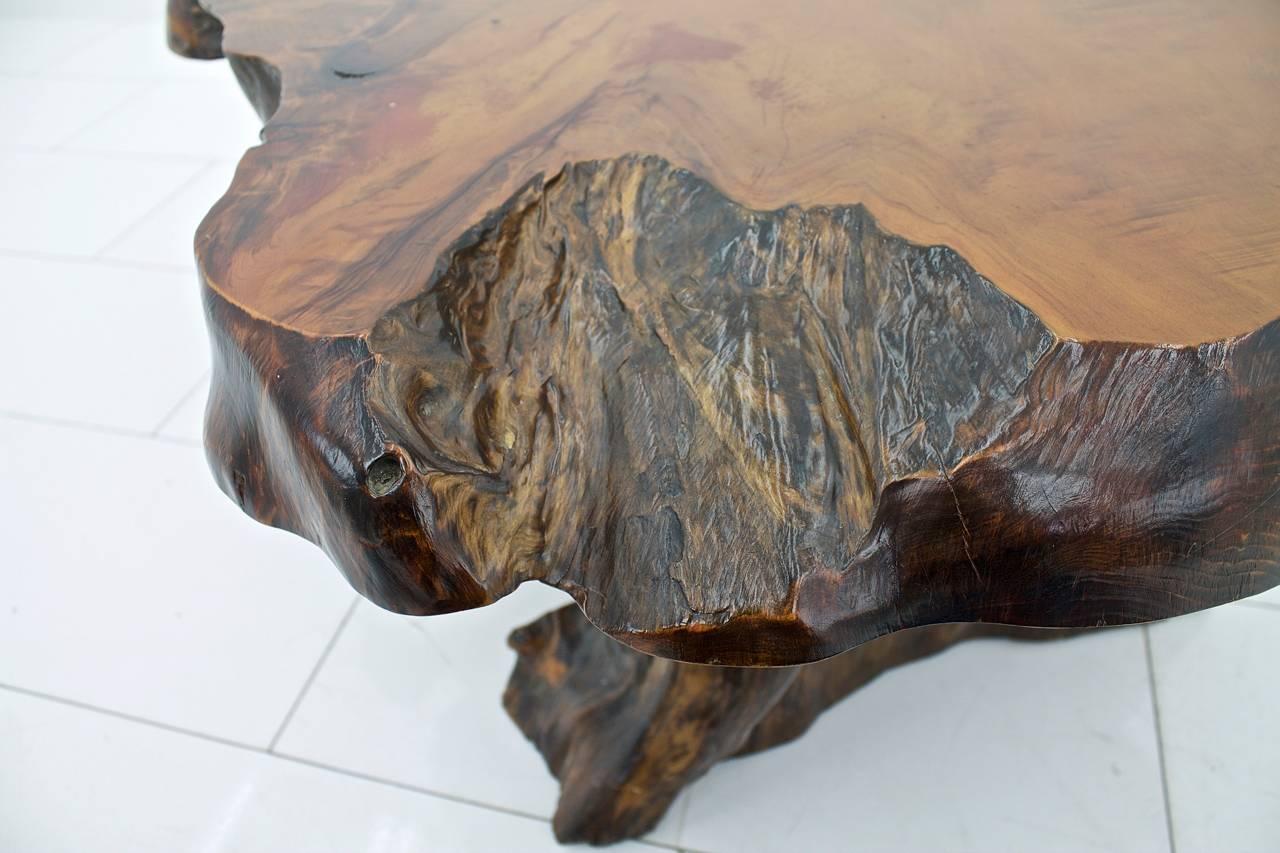 Solid Root Wood Coffee Table, 1960s 4
