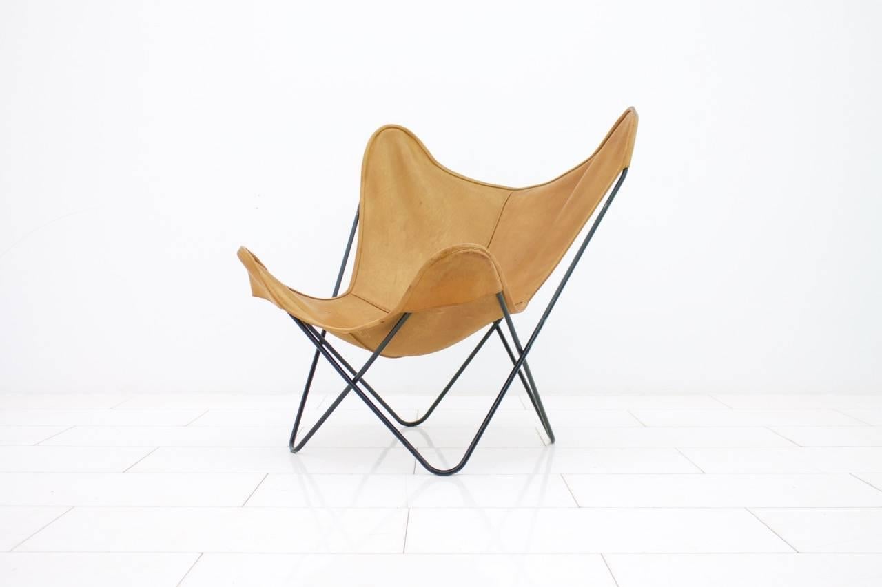 Butterfly lounge chair with cognac brown leather by Jorge Hardoy for Knoll. This chair come from the 1950s and is in a very good condition.

 